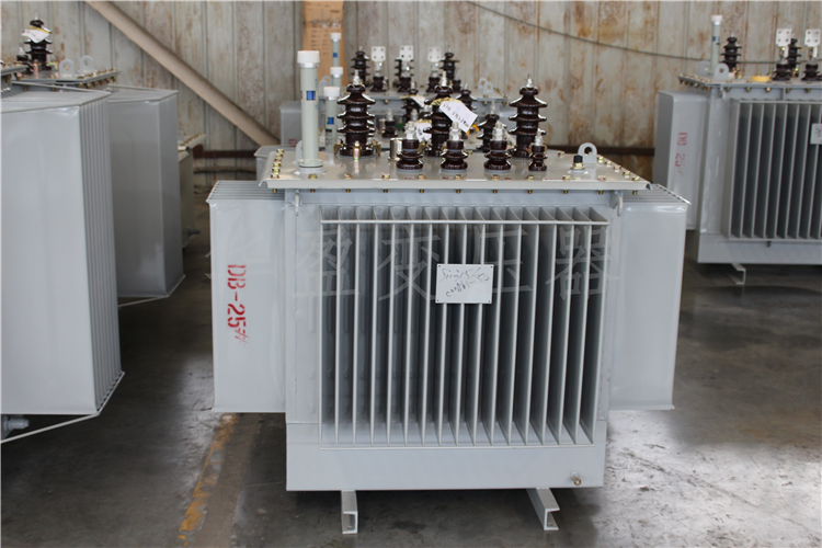 焦作S20-800kVA/10kV/0.4kV变压器